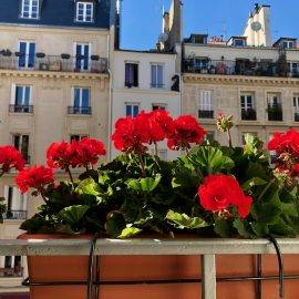 What to Consider When Apartment Hunting in Paris